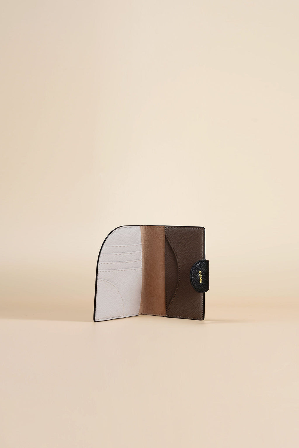 Jet-set Passport Holder