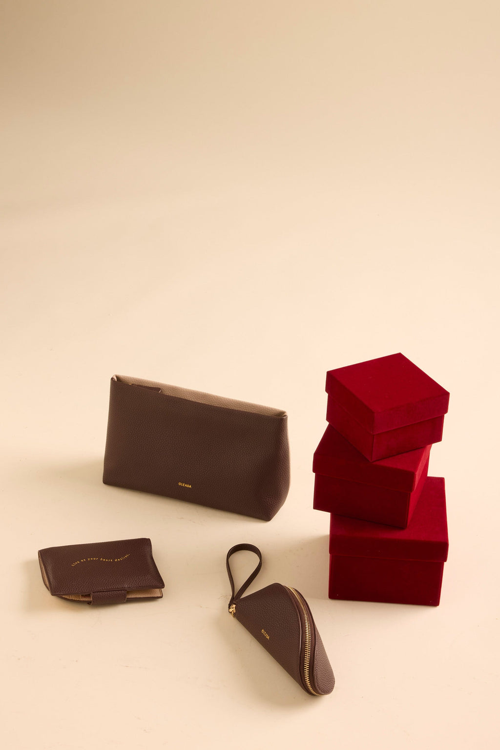 Jet-set Passport Holder